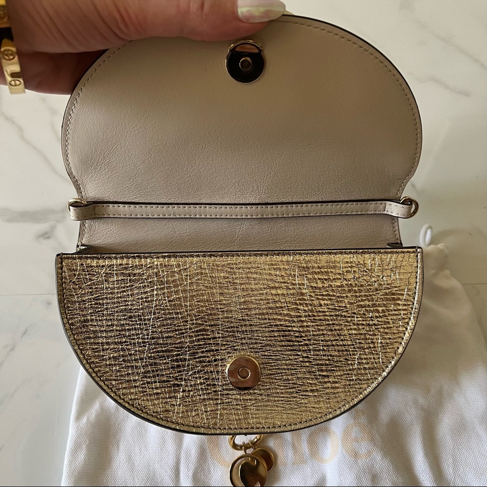 Chloe small Nile metallic leather minaudiere - Picture 4 of 10